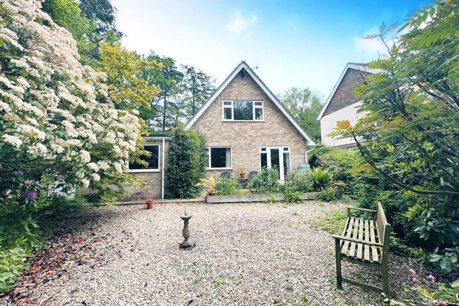 Thumbnail Detached house for sale in Horseshoe Lane, Ash Vale, Surrey