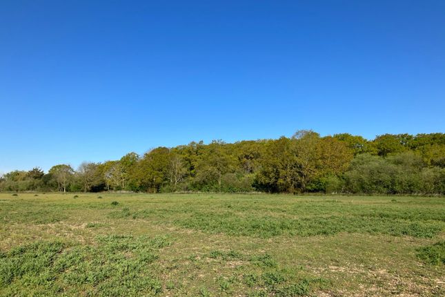 Land for sale in Norton Heath, Ingatestone, Essex