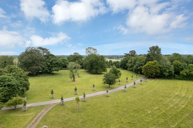 Parkland