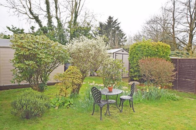 Bungalow for sale in Winchester Road, Four Marks, Alton