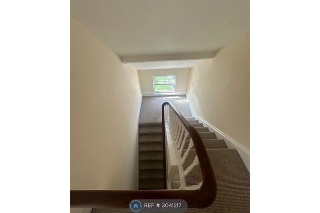 Walker Terrace, Plymouth photo 5