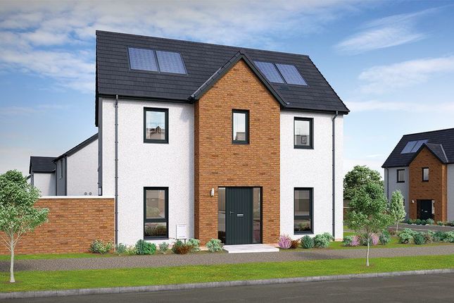 Thumbnail Semi-detached house for sale in Plot 66 The Calvin, Hazelwood, Blairgowrie