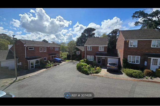 Michigan Way, Exeter photo 5