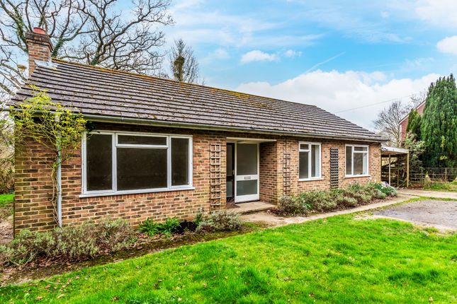 Bungalow to rent in Brockhamhurst Road, Betchworth, Surrey