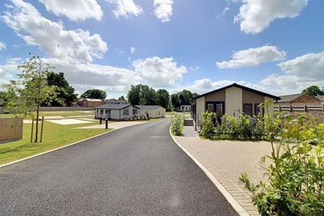 Detached bungalow for sale in Cathedral View Residential Park, Ripon