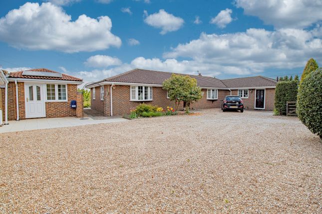 Thumbnail Detached bungalow for sale in Martineau Lane, Hastings