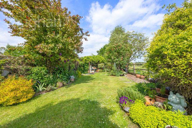 161, College Lane, Hassocks photo 3