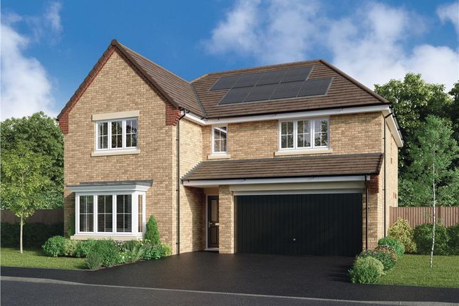 Thumbnail Detached house for sale in "Denford" at Elm Crescent, Stanley, Wakefield