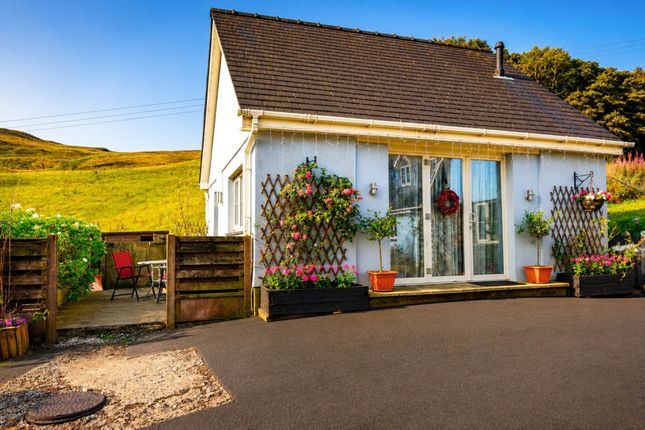 Ty Barcud, Aberystwyth photo 2
