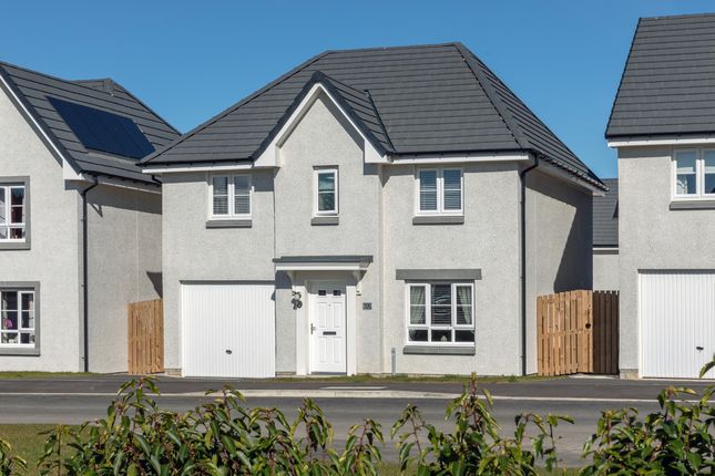 Thumbnail Detached house for sale in "Fenton" at Charolais Lane, Huntingtower, Perth