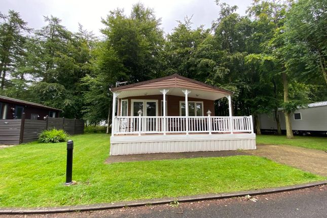Thumbnail Lodge for sale in Leaf Lane, Percy Wood Caravan Park, Swarland