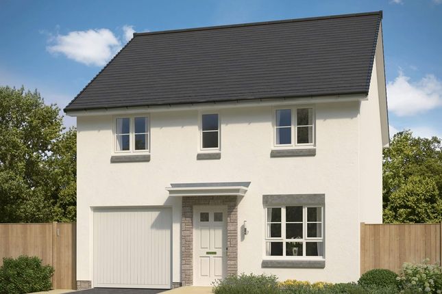 Thumbnail Detached house for sale in "Glenbuchat A" at Park Place, Newtonhill, Stonehaven