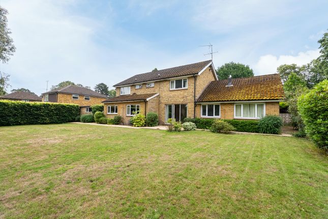 31, Milner Drive, Cobham photo 2