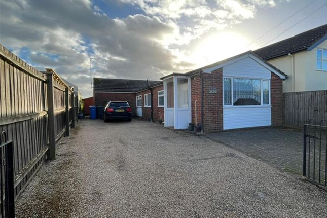 Thumbnail Detached bungalow for sale in The Street, Shotley, Ipswich