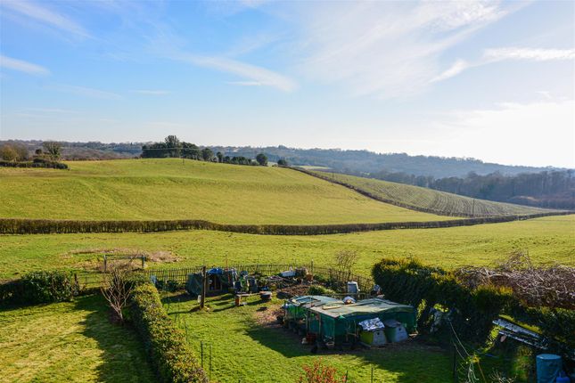 Kitchenham Road, Ashburnham, Battle photo 2