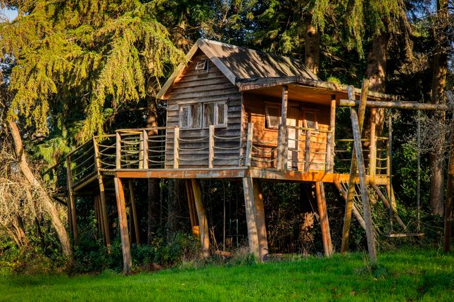 Tree House