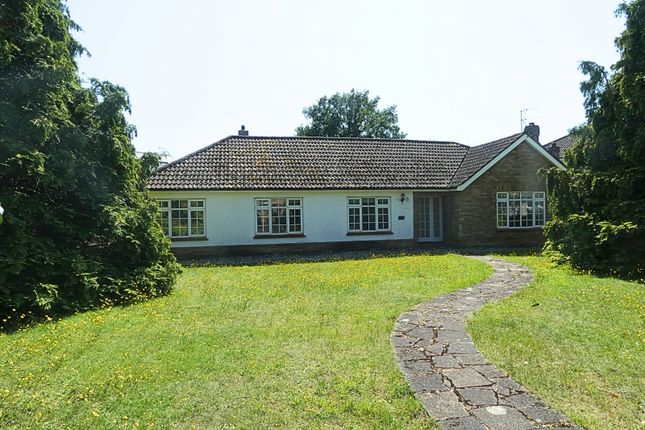 Thumbnail Bungalow to rent in East Road, West Mersea, Colchester