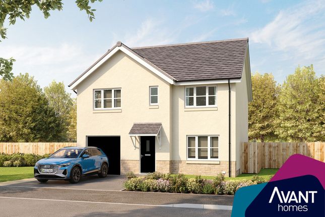 Detached house for sale in "The Nairn" at Sycamore Drive, Penicuik