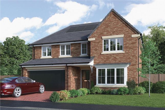 Detached house for sale in "The Beechford" at Choppington Road, Bedlington