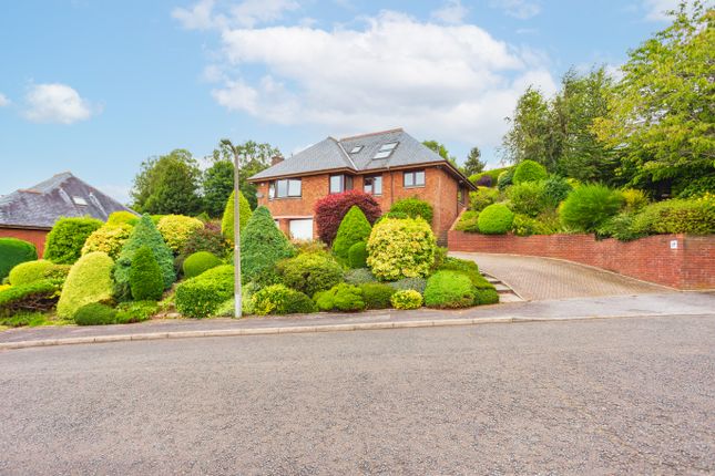 Thumbnail Detached house for sale in Corberry Park, Dumfries