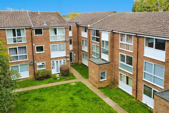 User_Edited_Photo-4813201E_User-Edited-ee62F1Da-2d