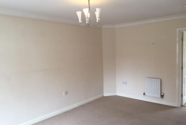 7, HINCKLEY photo 3