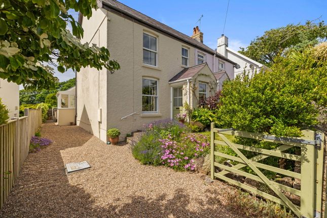 Myrtle Cottage, Swansea photo 4
