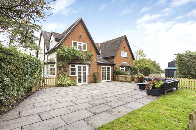 Thumbnail Detached house to rent in Epping Green, Hertford, Hertfordshire