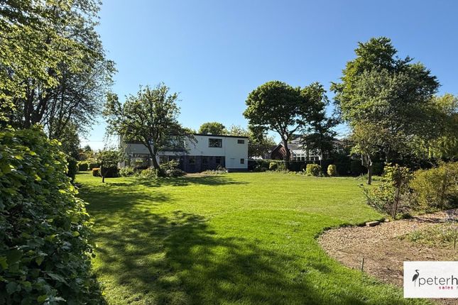 Rear Exterior
