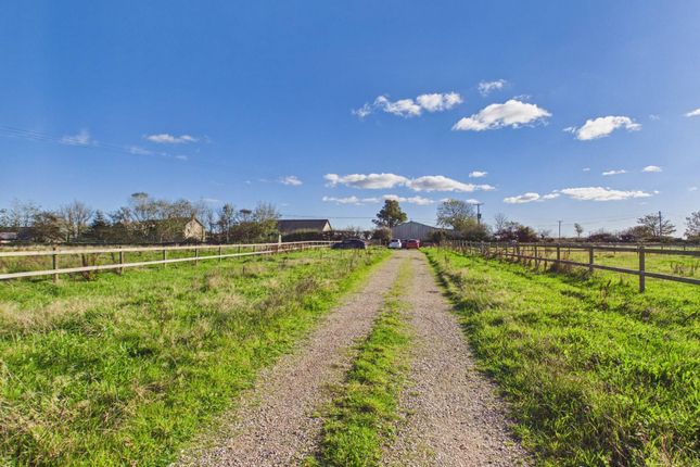 Clowance Wood Farm, Camborne photo 3