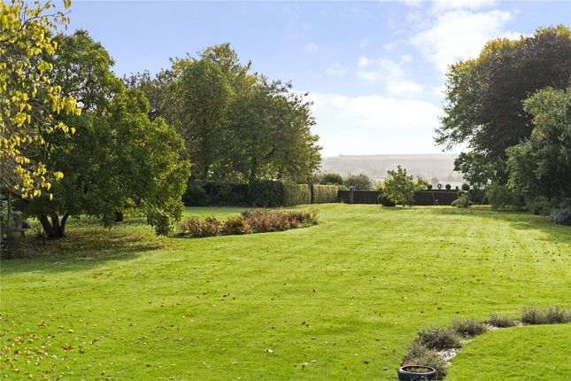 Lawns