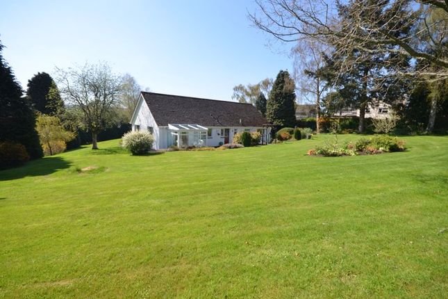 Detached bungalow for sale in Folley Meadow, Moretonhampstead, Devon