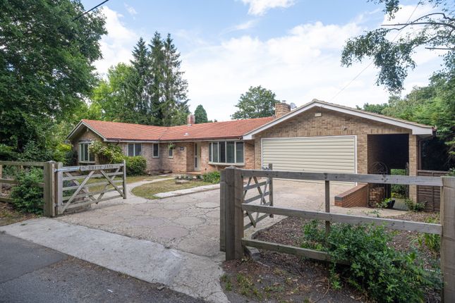 Detached house to rent in The Ridge, Cold Ash, Thatcham