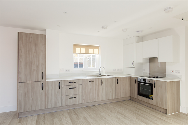 2 armada - Daisy RL, Leaf Living at Chesterwell, Mile End, CO4, Mile End photo 3
