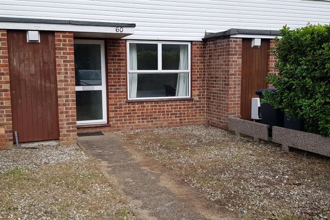 Thumbnail Property to rent in Rushmead Close, Canterbury