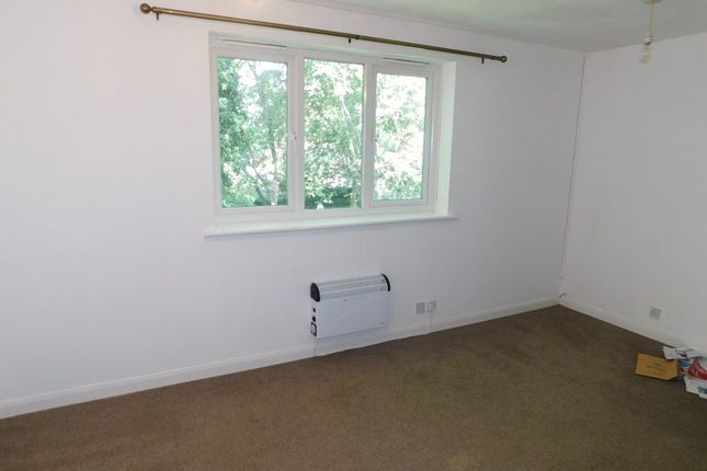 Wellington Avenue, Whitehill photo 3