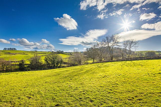 Mill Lane Farm (5 Of 21).Jpg