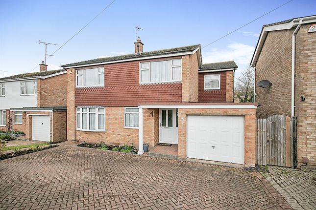 Thumbnail Detached house for sale in St. Dominic Road, Colchester