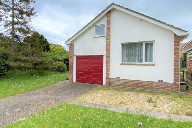 Thumbnail Detached bungalow to rent in Elm Grove Road, Dawlish