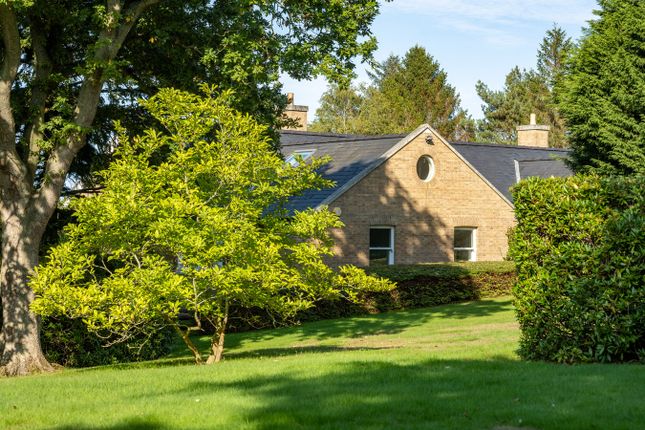 Side Of House