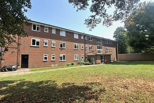Rear Exterior