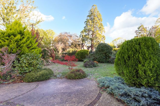 Gordon Road, Esher photo 2