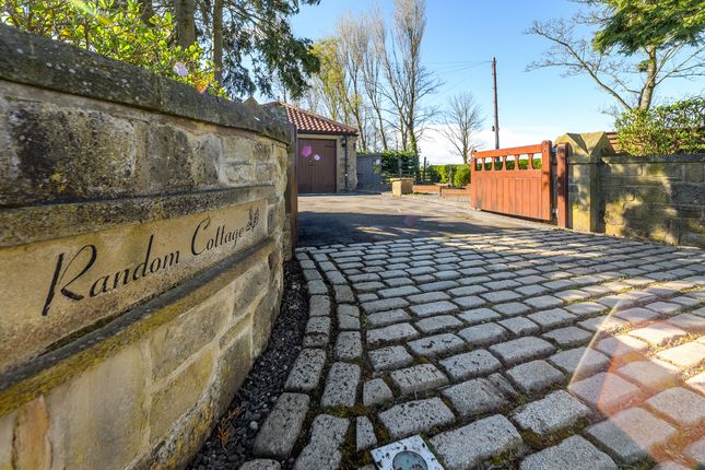 Detached bungalow for sale in Random, Low Buston, Warkworth, Morpeth, Northumberland