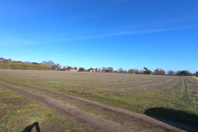 Thumbnail Land for sale in Newbourne Road, Waldringfield, Woodbridge