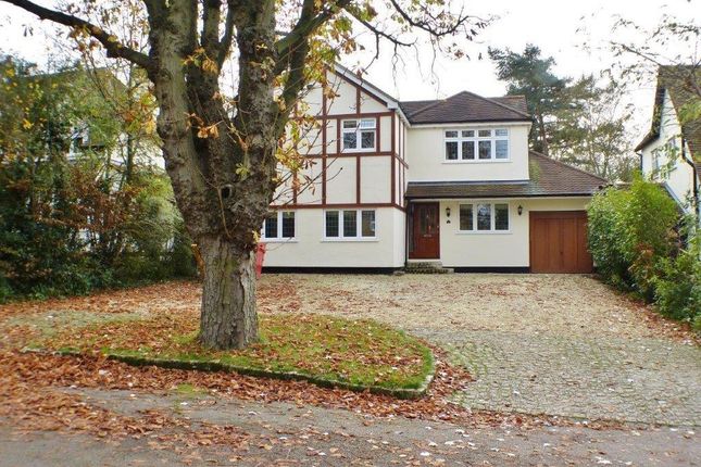 Thumbnail Detached house for sale in Shenfield Gardens, Hutton, Brentwood