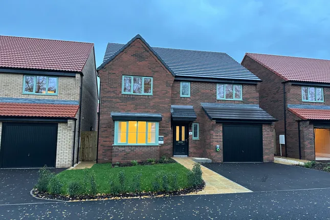 Lovell - The Paddocks