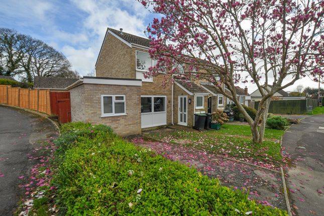 Semi-detached house to rent in Bridle Way, Colehill, Wimborne