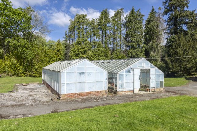 Greenhouses