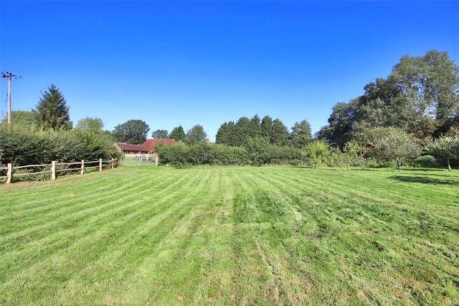 Detached house for sale in Beestons, Vines Cross, East Sussex