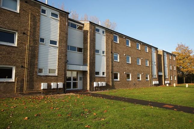 Thumbnail Flat to rent in Abbey Court, Waterbeach